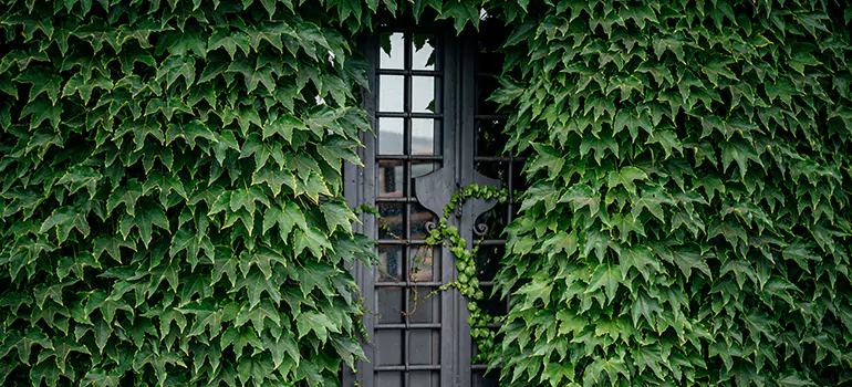 Garden Gate Repair in Sanford, FL