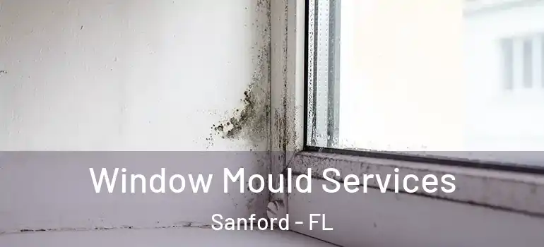  Window Mould Services Sanford - FL